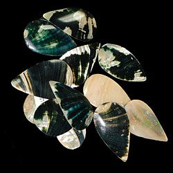 Abalone Shells Cut Into 2" Tear Drops Sold Each